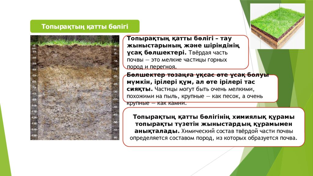 ТОПЫРАҚ ЖӘНЕ ОНЫҢ ҚҰРАМЫ МЕН ҚҰРЫЛЫМЫ