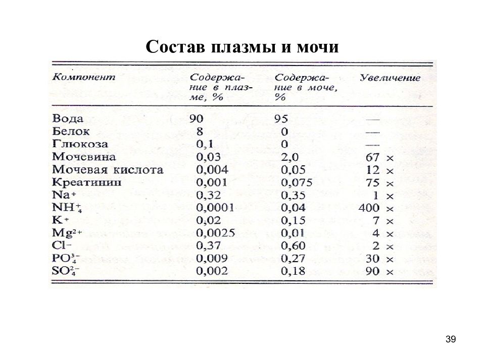 Биохимия почек и мочи биохимия презентация