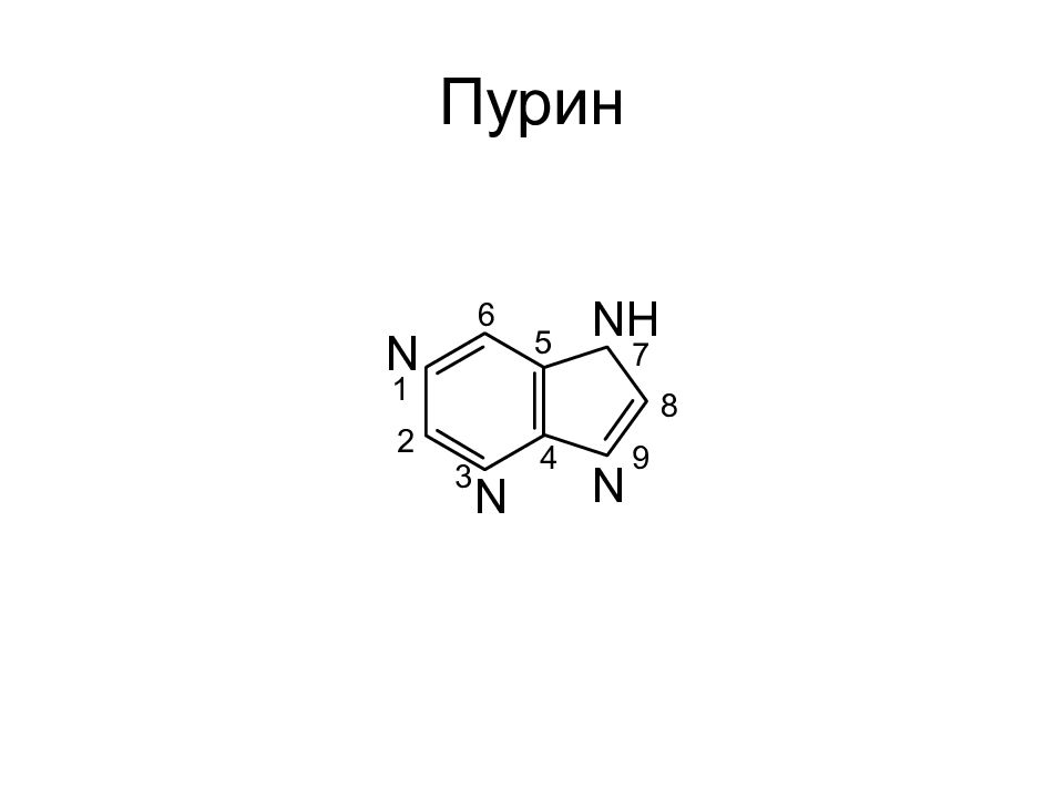 Структура пурина