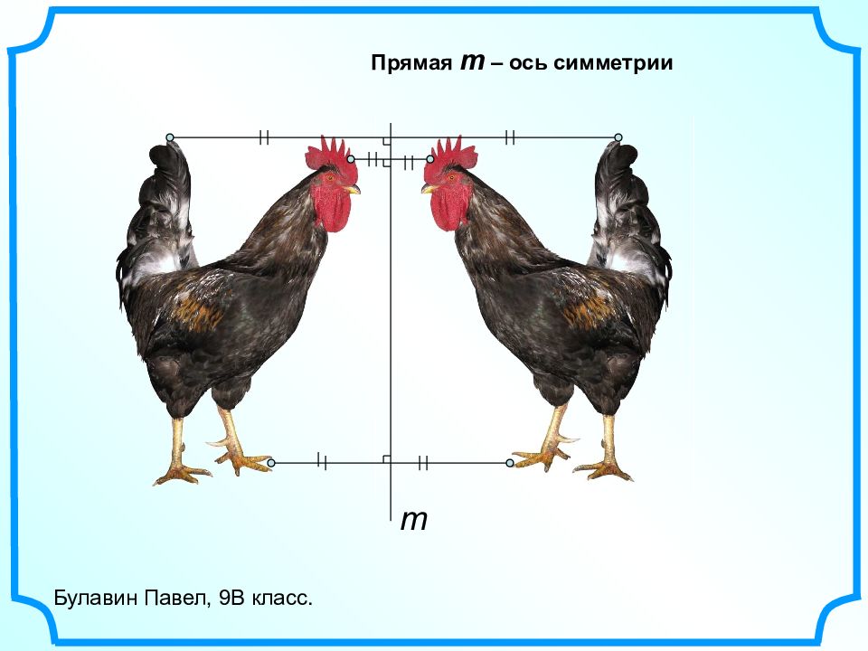 Симметрия относительно прямой 6 класс презентация