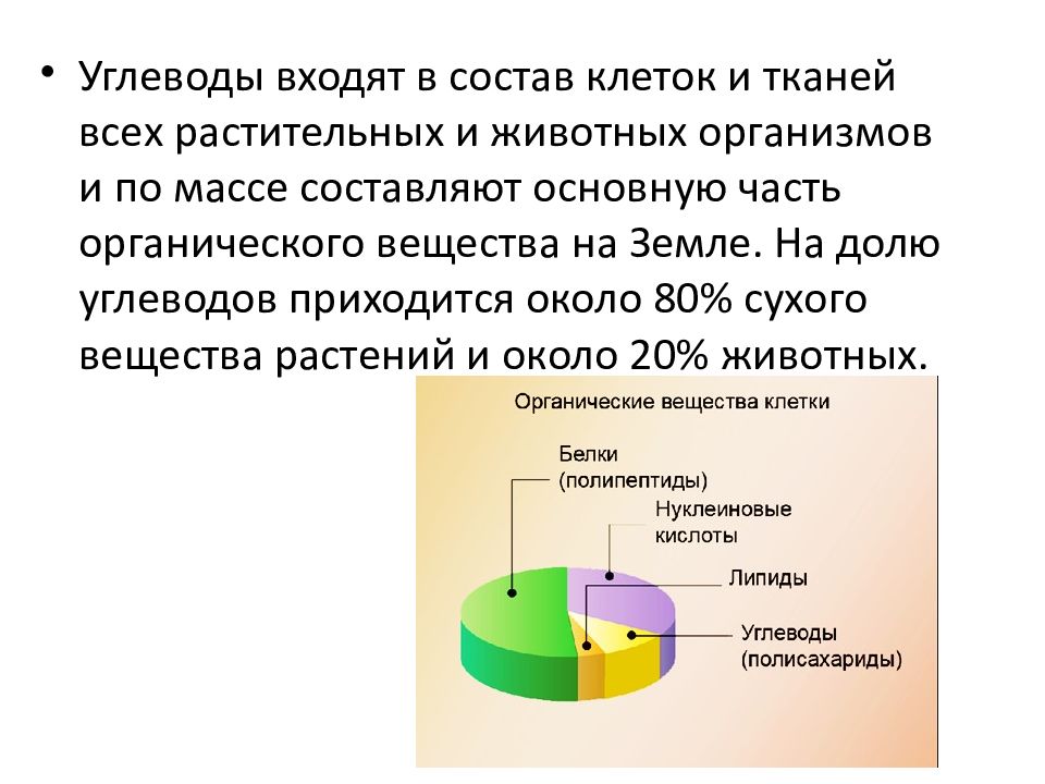 Составляющие весов