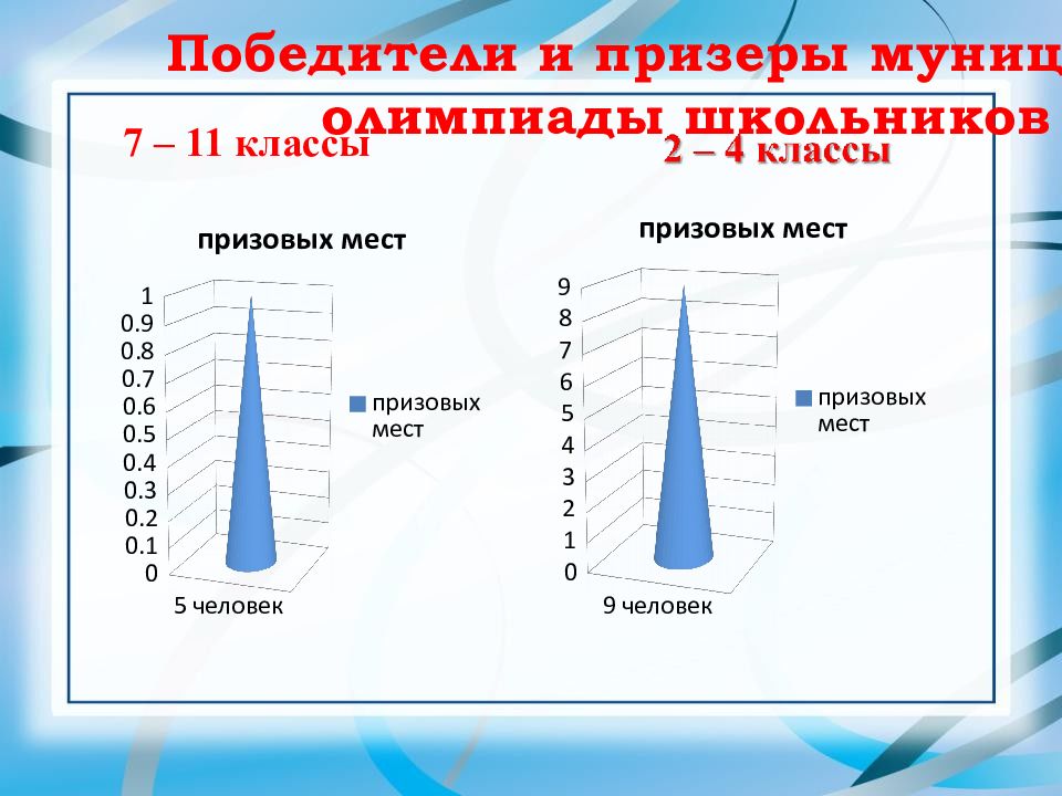 Публичный отчет презентация