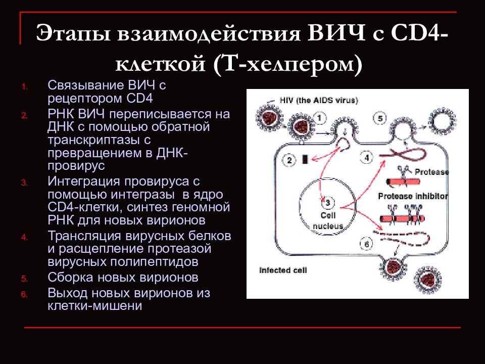 Репликация вич схема