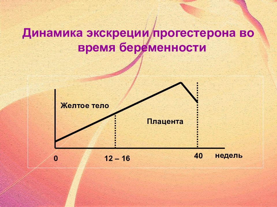 Динамика целей. Изменения в организме женщины при беременности. Динамика беременности. Изменения в организме беременной женщины график. Прогестерон плацента и желтое тело.