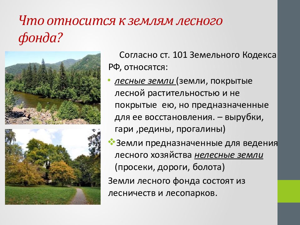 Участки относящиеся к большому. Лесной земельный фонд РФ. Земли лесного фонда. Что относится к землям лесного фонда. Понятие лесного фонда.