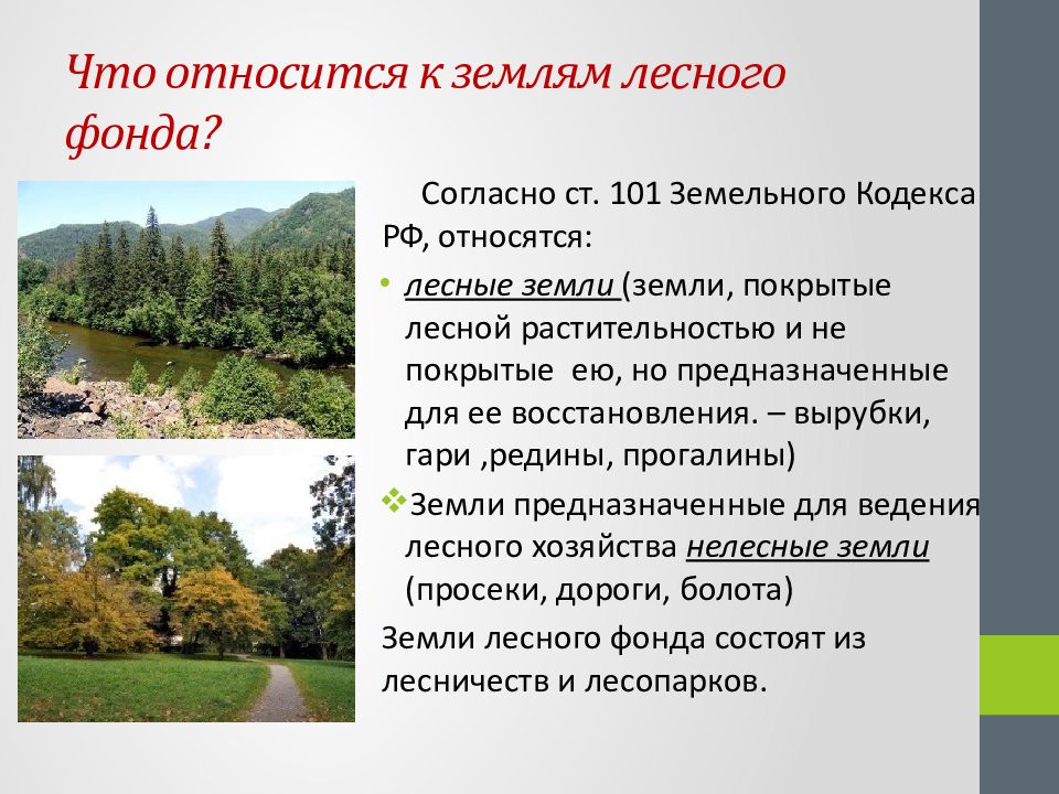 Какие земли относятся. Лесной земельный фонд РФ. Земли лесного фонда. Что относится к землям лесного фонда. Понятие и состав лесного фонда.