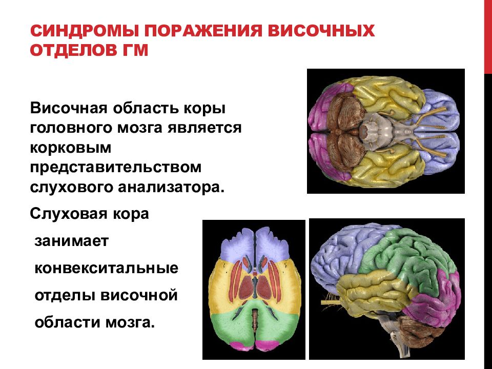 Конвекситальные пространства