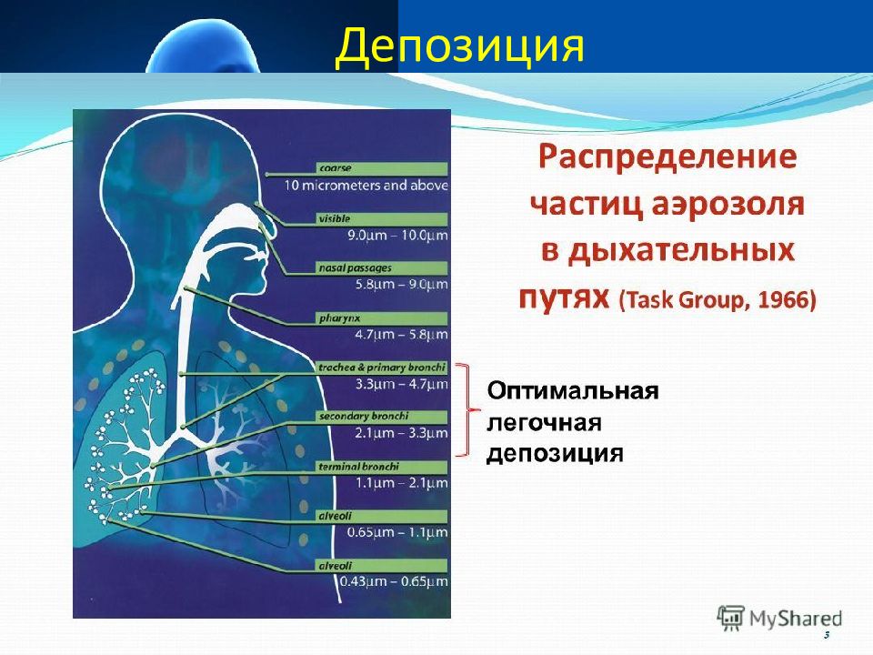 Распределение частиц. Легочная депозиция. Распределение частиц аэрозоля в дыхательных путях. Размер частицы аэрозоля при ингаляции. Размер частиц аэрозоля.