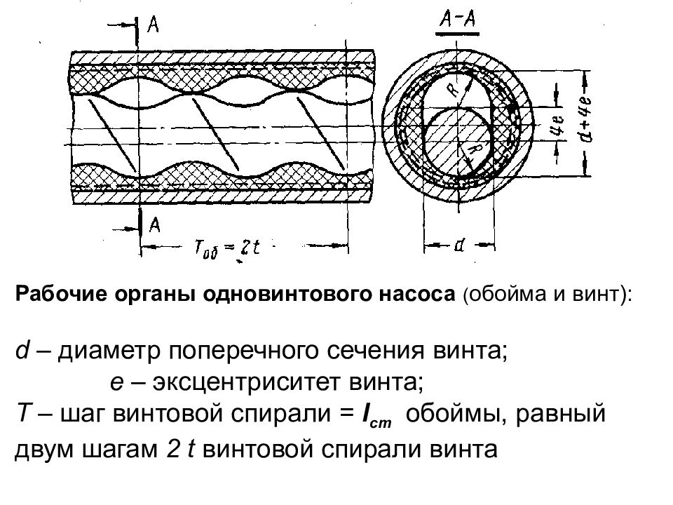 Поперечный диаметр