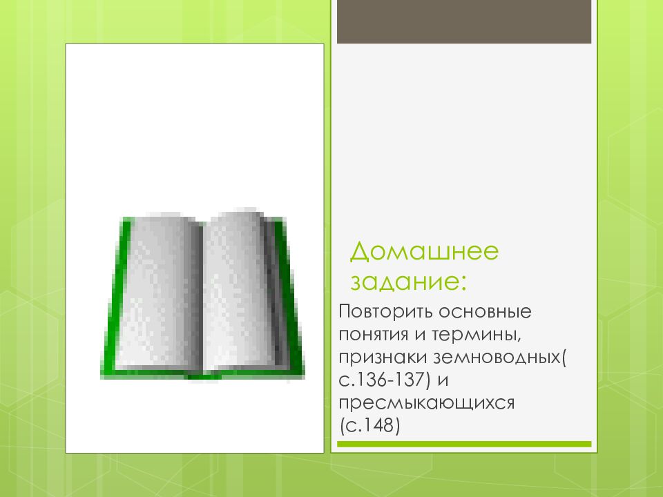 Домашнее задание: