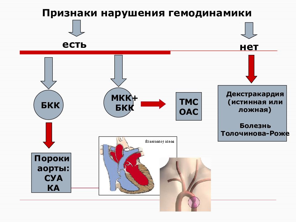 Блок схема пороки сердца