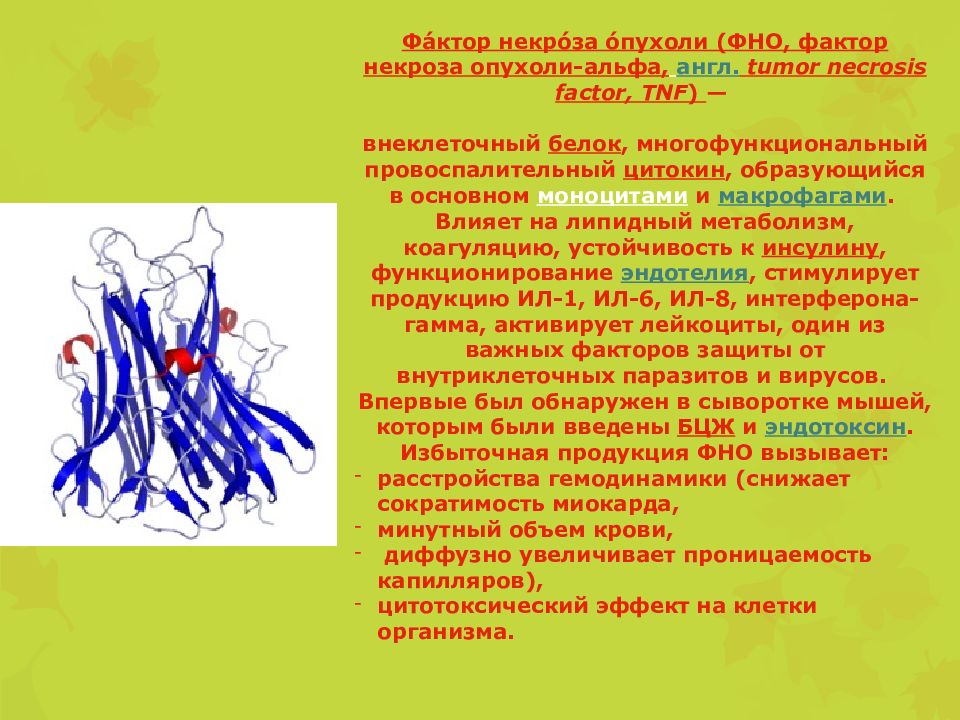 Фно фактор некроза опухоли