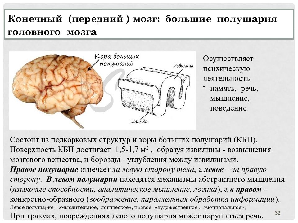 Внд подготовка к егэ презентация