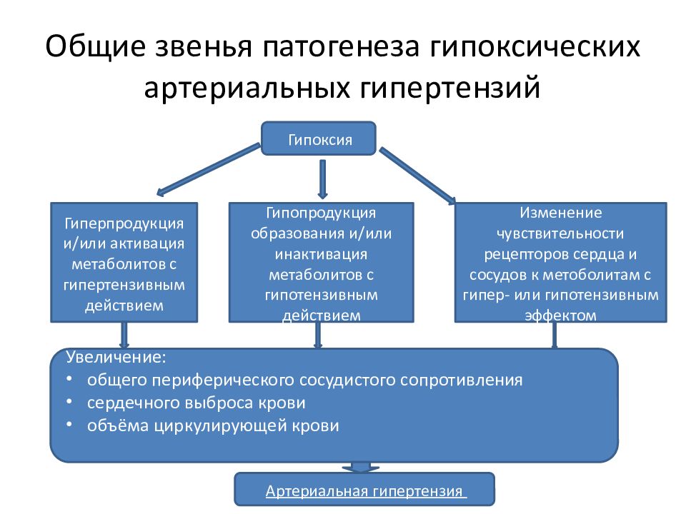 Механизмы развития артериальной гипертензии. Этиология вторичной артериальной гипертензии. Гипоксические артериальные гипертензии. Патогенез артериальной гипертензии. Этиопатогенез гипоксических артериальных гипертензий..