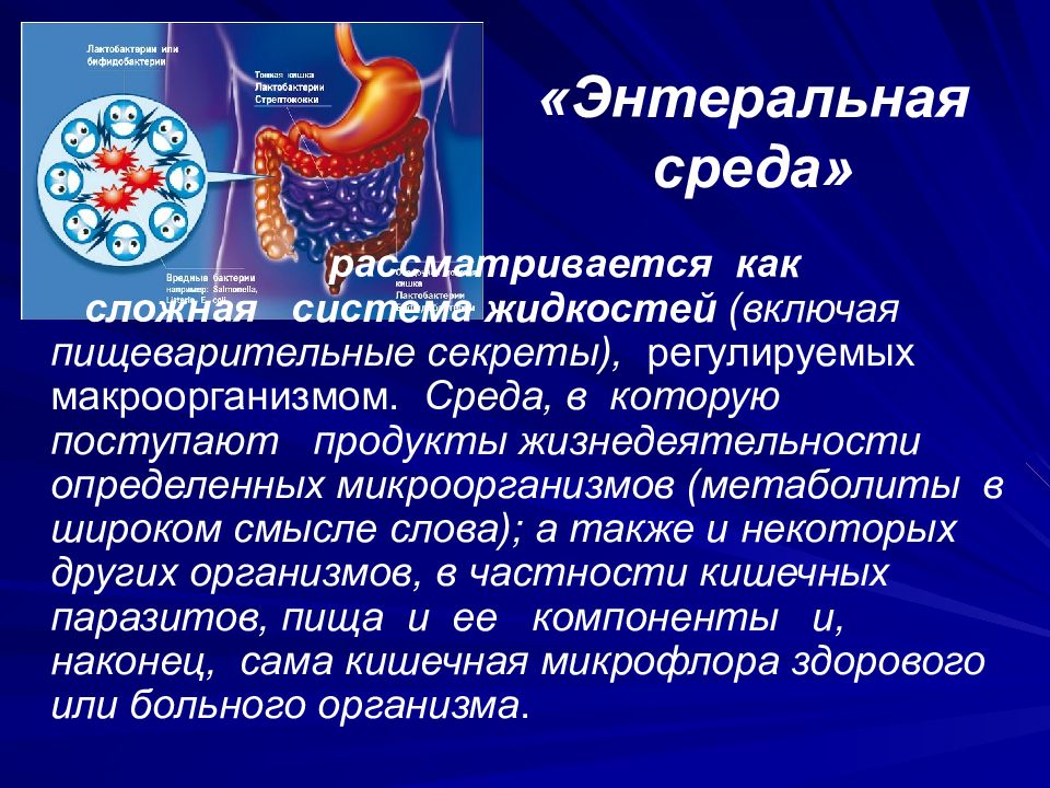 Железы пищеварительной системы схема. Пищеварительные секреты. Пищеварительные функции жкт физиология. Пищеварительные секреты. Выделительная система пищеварения человека.