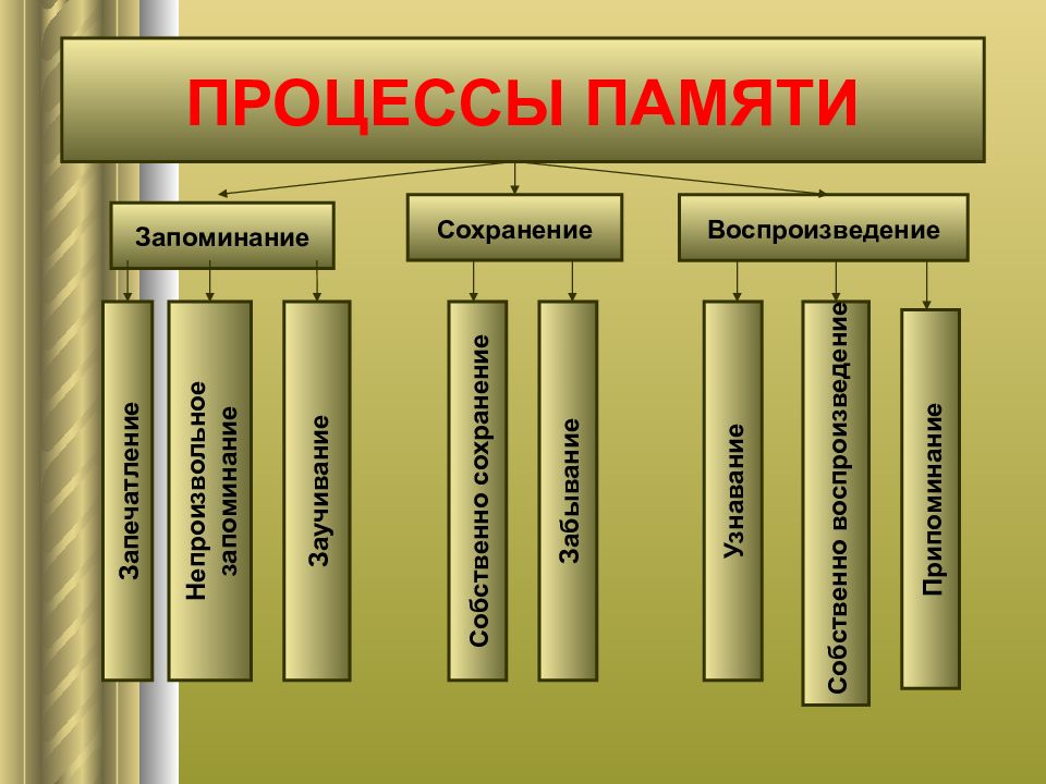 Процессы памяти запоминание сохранение воспроизведение