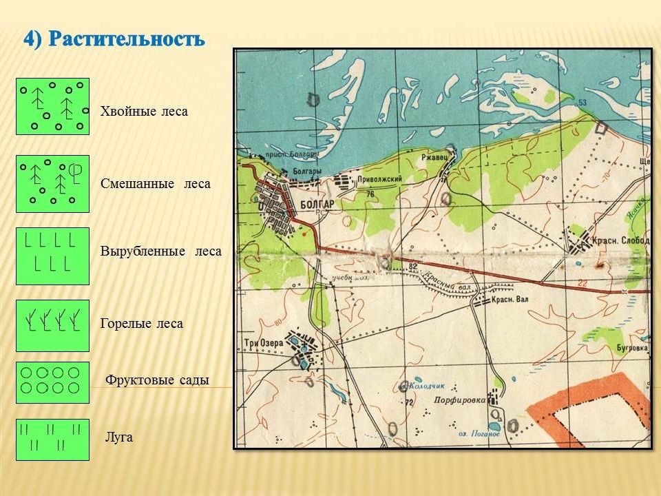 Хвойная на карте