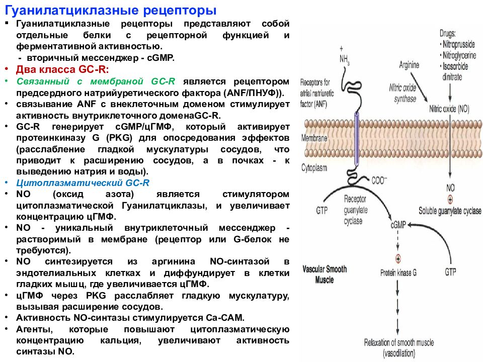 Фосфорно кальциевый обмен схема