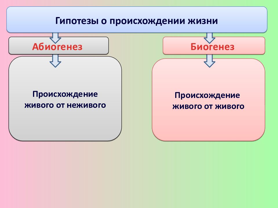 происхождение живого