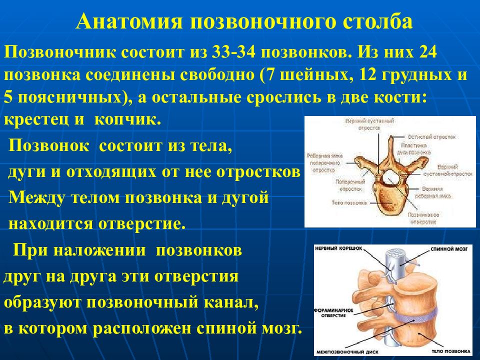 Травмы головы позвоночника и спины обж 9 класс презентация