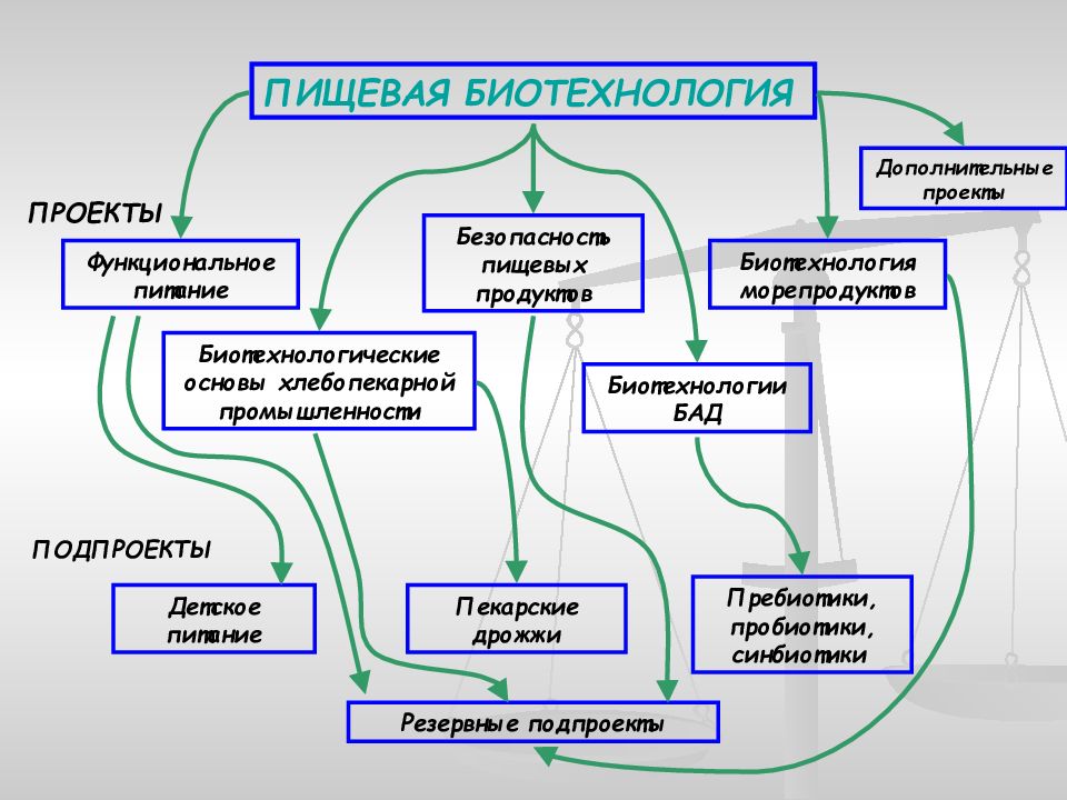 Темы проектов по биотехнологии