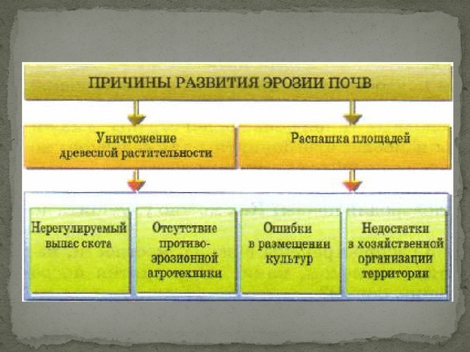 Эрозия почвы схема