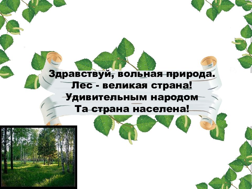 Жизнь леса 4 класс окружающий мир презентация школа россии