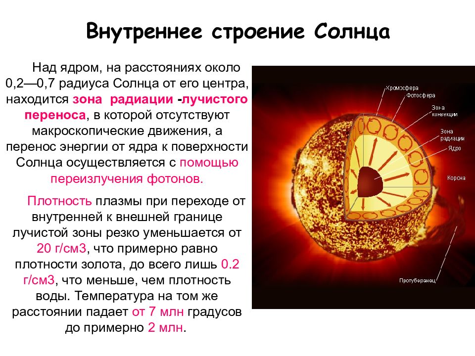 Ядро составляет примерно