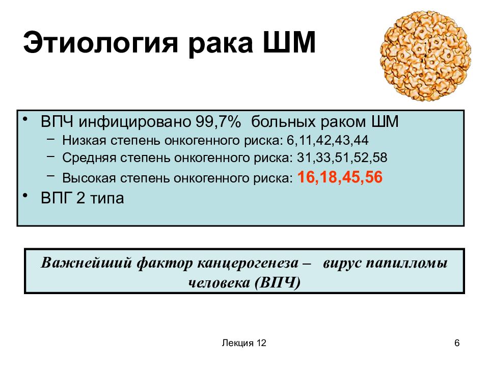 Впч и рак шейки матки презентация