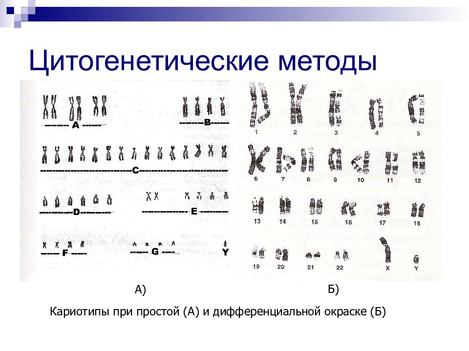 Цитогенетическое исследование. Цитогенетические методы диагностики наследственных болезней. Цитогенетический цитогенетический метод. Цитогенетический метод кариотипирование. Рисунок методики цитогенетического исследования.