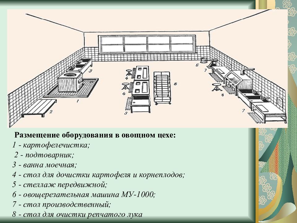 Опишите технологическую схему обработки картофеля и корнеплодов в овощном цехе какие виды