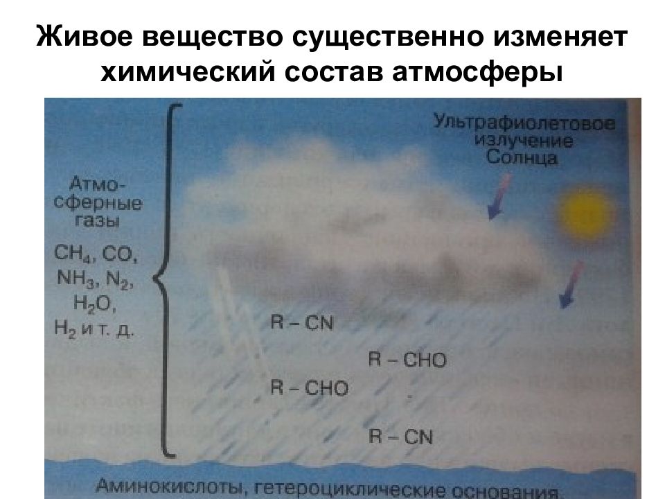 Функции атмосферы. Живое вещество в атмосфере. Арт защитная роль атмосферы. Наибольшая концентрация живых организмов расположена