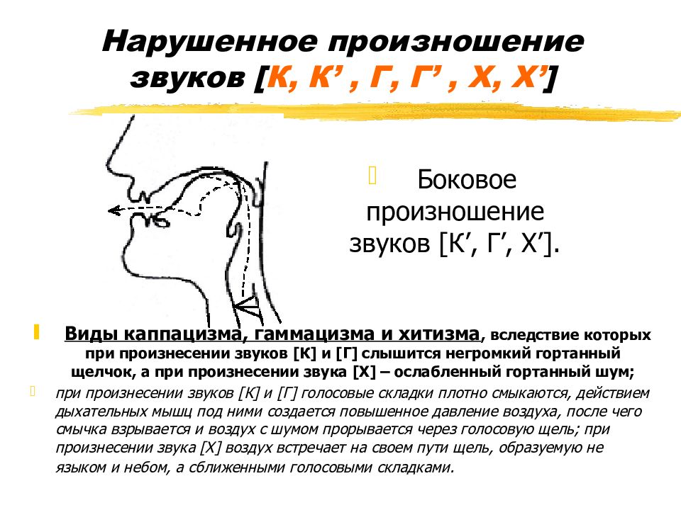 Нарушение артикуляционных схем отдельных звуков является первичным дефектом при