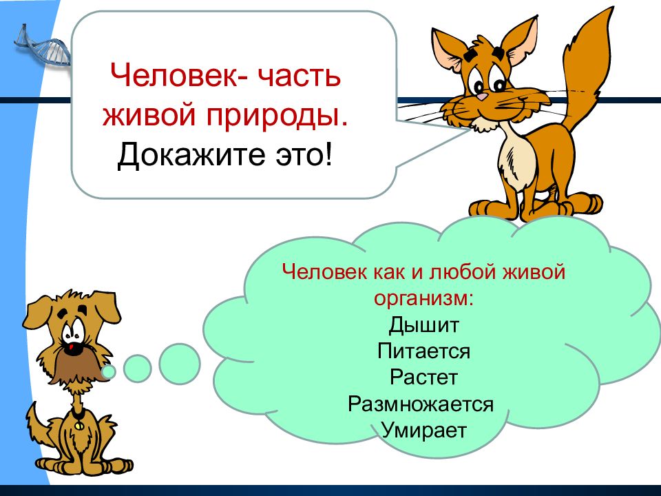 Может ли человек жить без живой природы презентация 1 класс 21 век