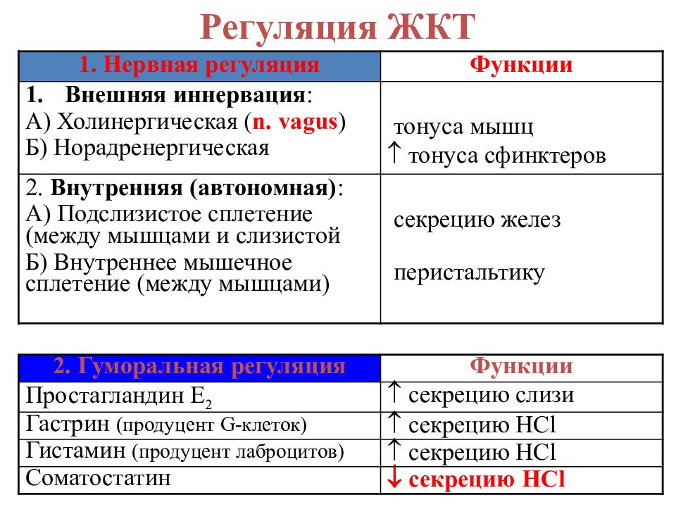 Средства влияющие на функции органов пищеварения презентация