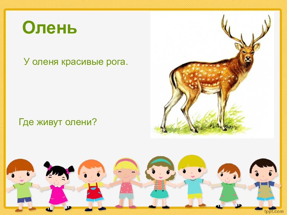 где живут олени. где живут олени. пятнистый олень завидово. животный мир. дикий пятнистый олень.