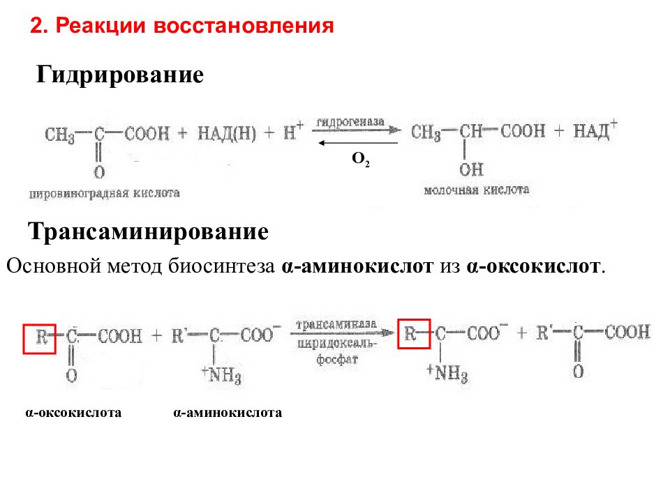 Гетерофункциональные кислоты презентация