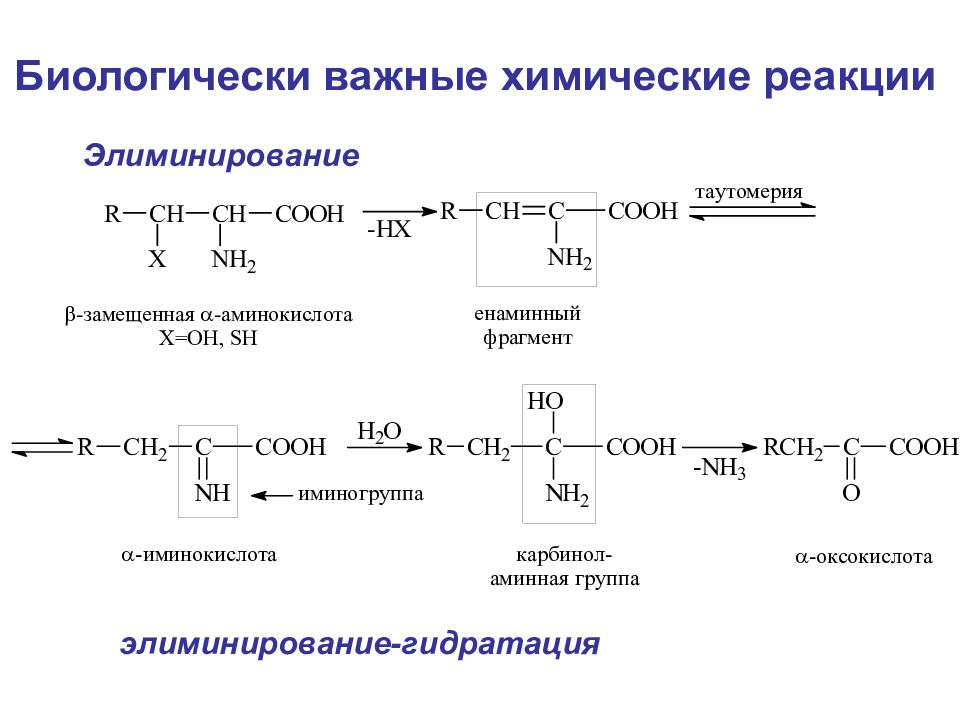 Реакции аминокислот