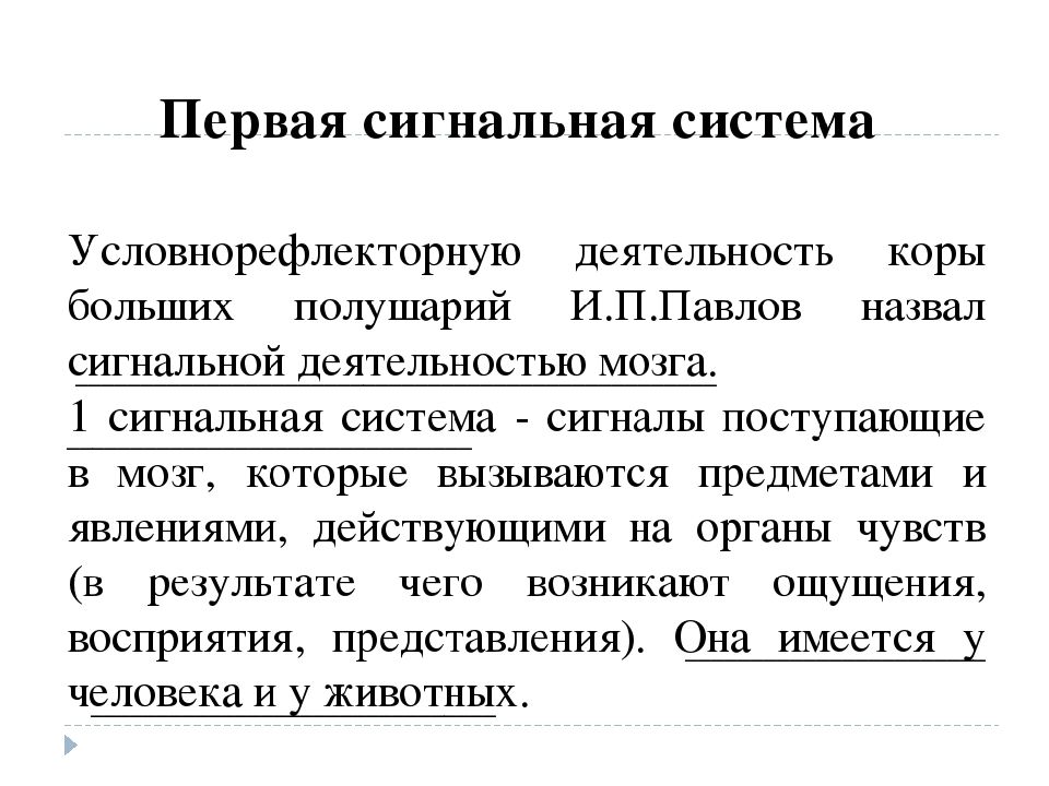 Особенности внд человека речь и сознание познавательные процессы 8 класс презентация