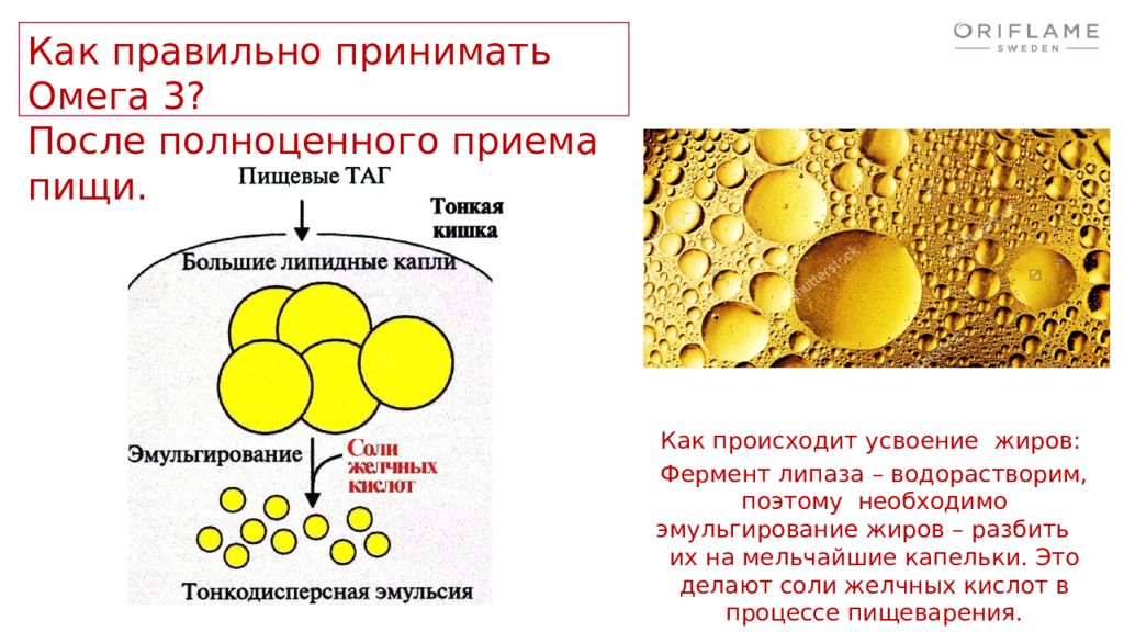 Ферменты эмульгирующий жиры