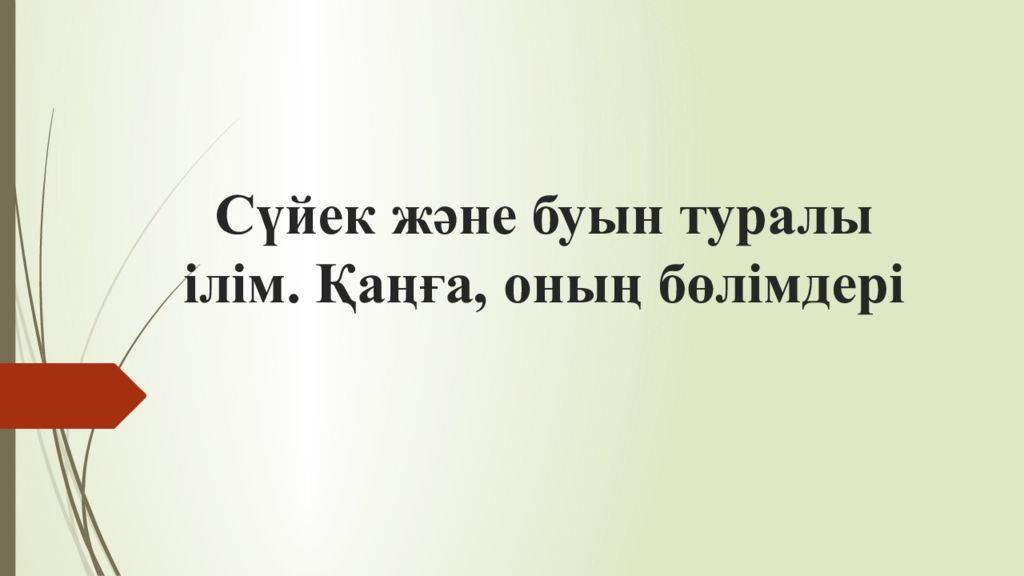 Сүйек және буын туралы ілім. Қаңға, оның бөлімдері