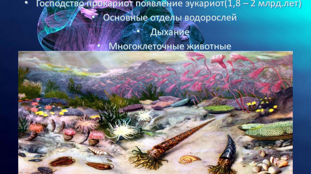 Дыхание водорослей. Водоросли протерозойской эры. Протерозойская Эра животные и растения. Ароморфозы протерозойской эры. Грибы протерозойской эры.