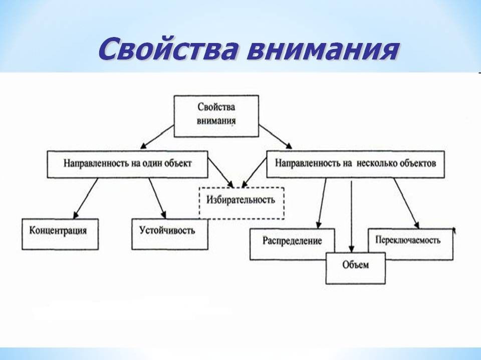 Виды внимания схема