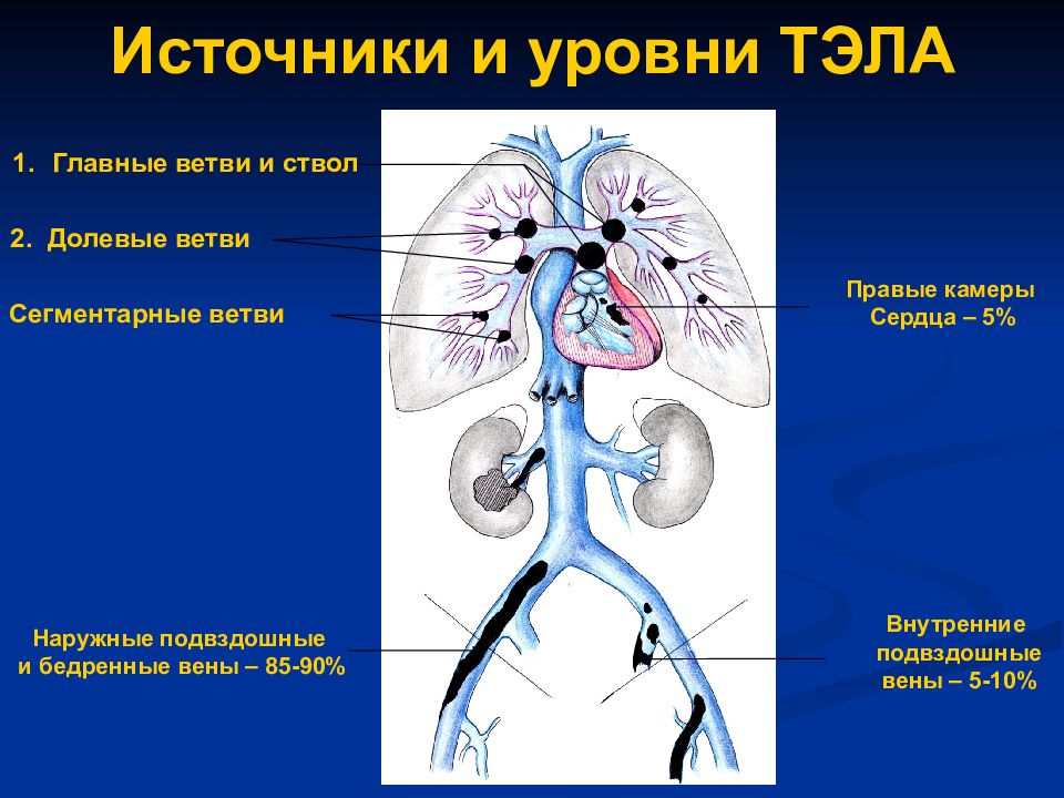 Патогенез тэла схема