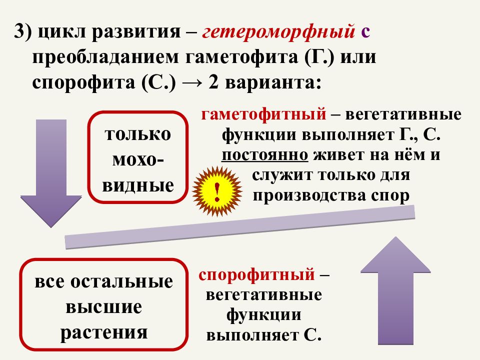 Циклы 3 класс презентация