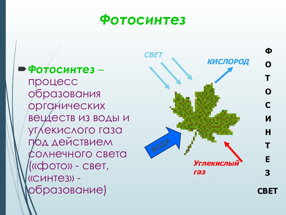 Охрана живых организмов и природных сообществ 6 класс презентация