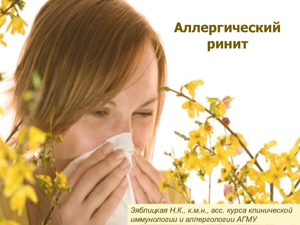 Аллергический ринит Зяблицкая Н.К., к.м.н., асс. курса клинической иммунологии