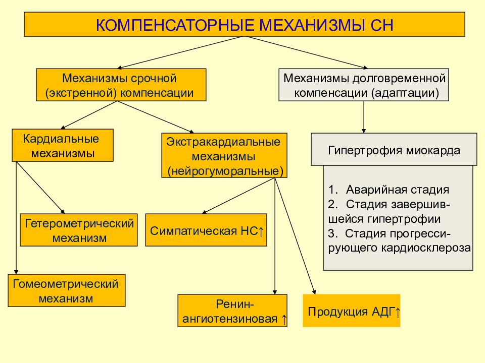 Компенсаторная сердечная недостаточность