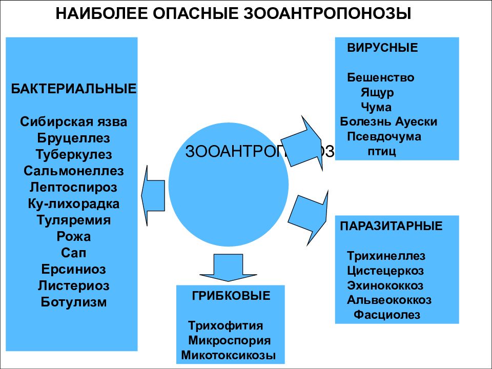 Наиболее примеры. Наиболее опасные зооантропонозы. Зооантропонозные заболевания инфекционные. Профилактика зооантропонозов. Зооантропонозы источник инфекции механизм передачи.