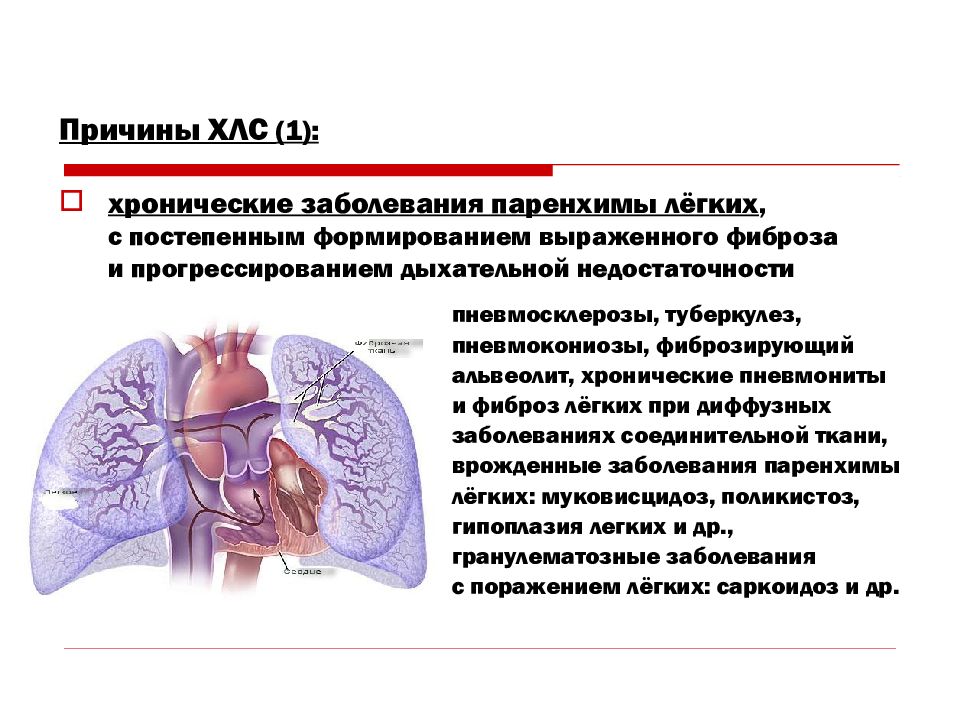 Фиброзно изменен легочный рисунок что это значит